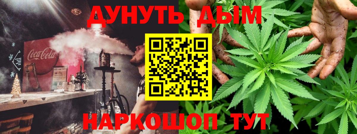 Конопля марихуана Рославль